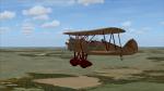 FSX Golden Age Simulations WACO RNF Wooden Special Texture